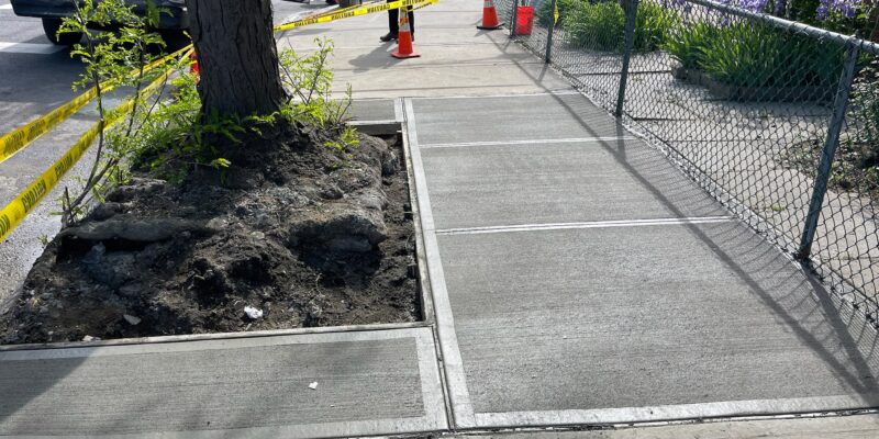 sidewalk replacement construction